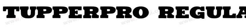 TupperPRO Regular字体转换